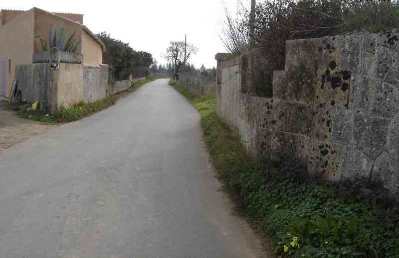 CINQUANTA ANYS DEL DARRER VIATGE DEL TREN: RECORDS I ANÈCDOTES DE LA MEMÒRIA COL·LECTIVA DEL PAS DEL TREN PER PORRERES