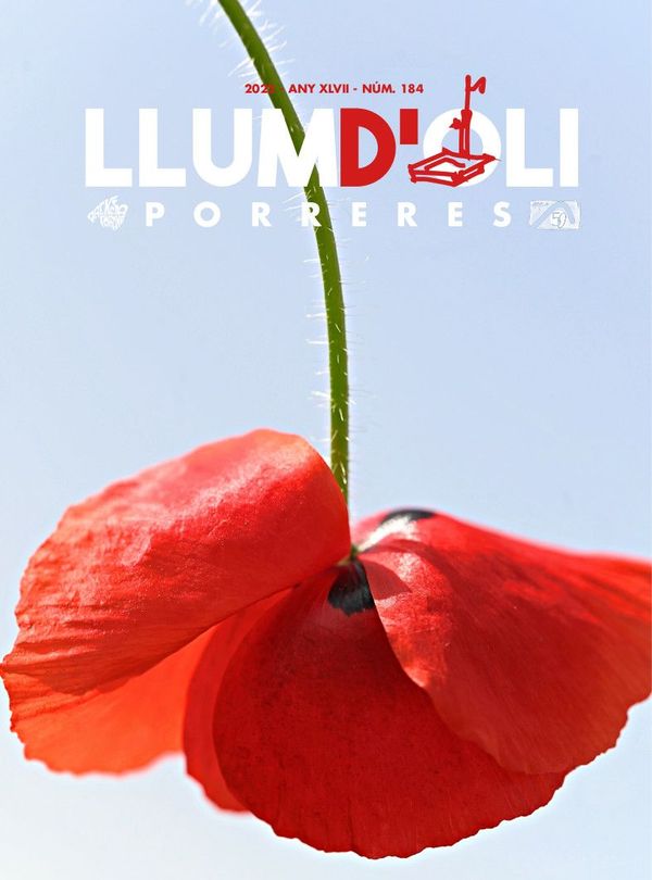 Llum d'Oli 184